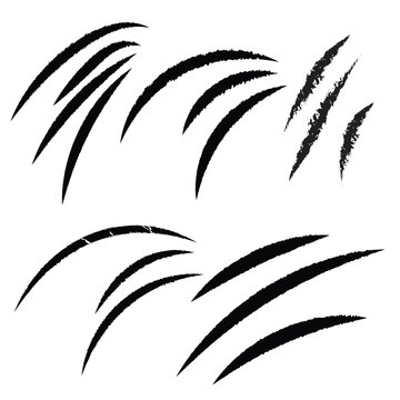 Clows Marks Isolated on White Background, Clows scratches silhouette marks, Nails trace texture,  animel clows marks icon. 
