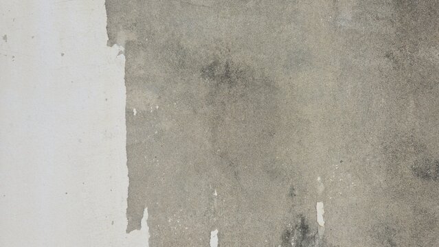 Weathered concrete wall with mold stains. Gritty concrete wall texture with mold and water stains. Detailed view of a distressed cement wall. Authentic industrial grunge background.