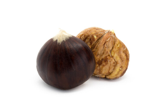 Two chestnut edible isolated on white background