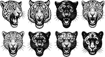 Collection of wild cat head illustrations featuring snarling tigers leopards and panthers in black and white hand drawn style © yousuf