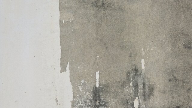 Weathered concrete wall with mold stains. Gritty concrete wall texture with mold and water stains. Detailed view of a distressed cement wall. Authentic industrial grunge background.