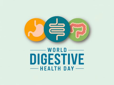 World digestive health day concept with stomach, small intestine and large intestine icons