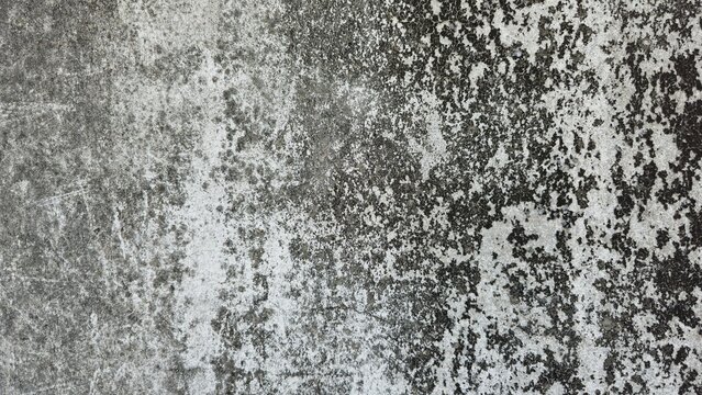 Old concrete wall texture with black mold and moss stains. Weathered cement surface with heavy dark mold and moss patterns. Close-up of an aged industrial wall showing natural decay.