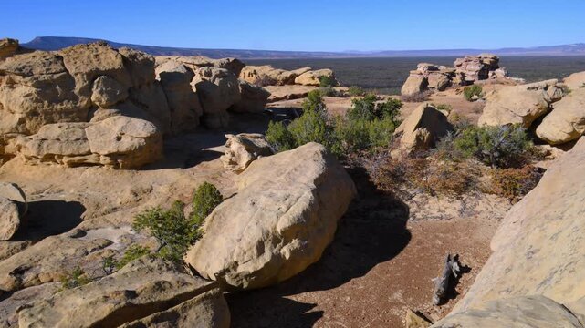 Sandstone cliffs with drought-tolerant coniferous vegetation at the margin of a lava valley in El Malpais National Monument