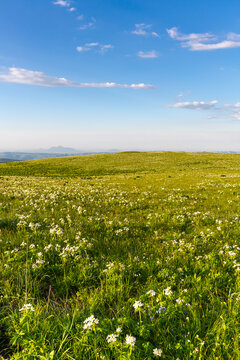 A flat mountain plateau covered with alpine meadows on a clear summer evening