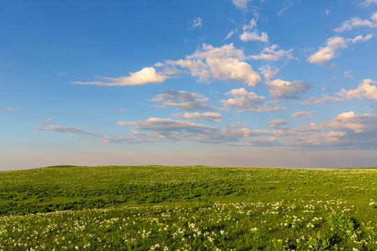 A flat mountain plateau covered with alpine meadows on a clear summer evening