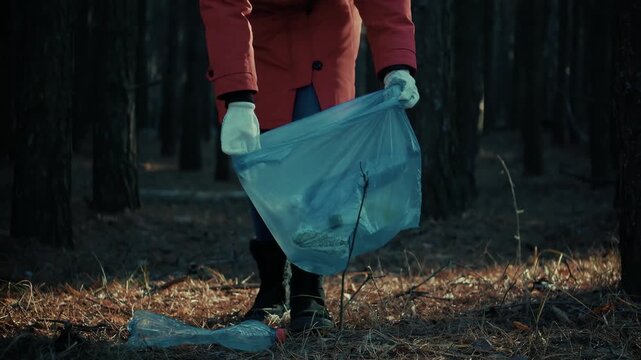 Picking Up Plastic Bottles in Forest. Environmental Activist Cleaning Litter in Woodland. Nature Protection and Pollution Control Activity