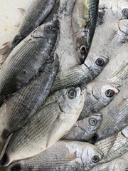 Obraz premium Fresh fish arranged on ice display showcase pale scales and distinct eyes for culinary use