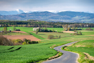Fototapeta premium road across spring meadows of Sudetes with snowy Karkonosze mountains in Poland