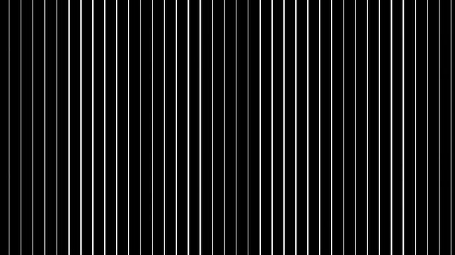 Animated minimalist vertical white lines on a black background creating a geometric pattern for abstract video backgrounds transitions and modern motion graphics projects.
