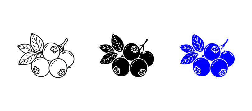 huckleberry