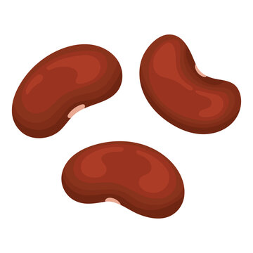 High Quality Vector Illustration of Red Beans, Healthy Legumes and Natural Food Concept, Minimal Background