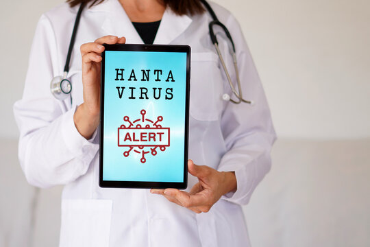 Hantavirus alert. female doctor showing information on her medical tablet