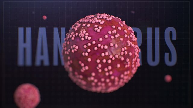 Microscopic Hantavirus Cells Animation &ndash; 4K