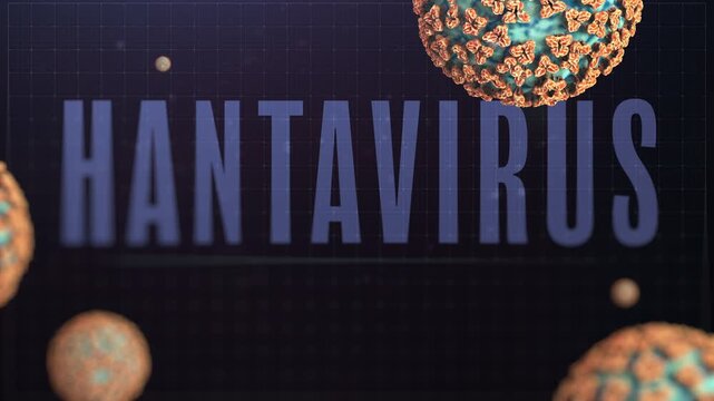 Hantavirus Virus Cells Floating &ndash; 4K