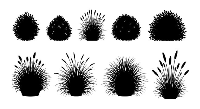 Sea urchins illustrated set with various spiky textures and designs featuring marine life, ocean, texture with illustration and black elements for