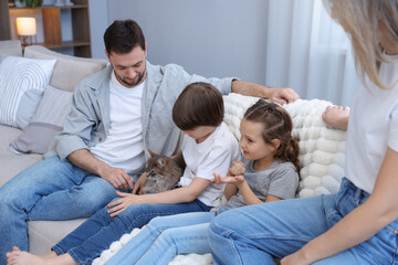 Obraz premium Family with their cute cat on sofa at home. Adorable pet