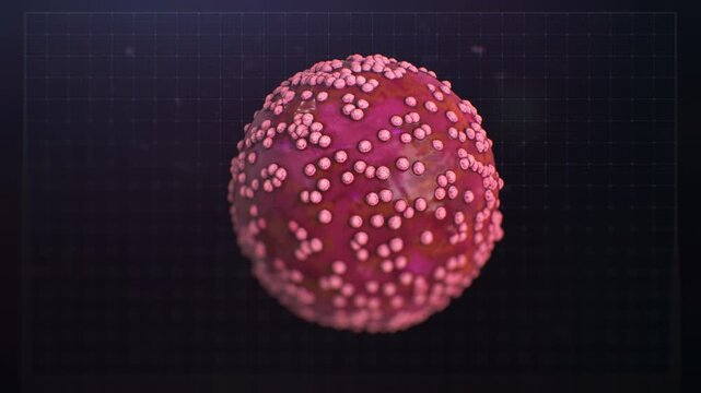 Hantavirus Outbreak Animation &ndash; 4K