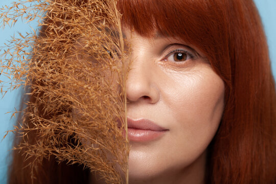 Portrait of attractive redhead woman posing with dry decorative grass branch near face for aesthetic beauty photography session isolated on blue background