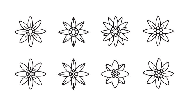 Eight delicate edelweiss flower outlines arranged in two rows on a white background