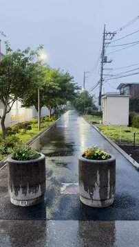 Rain taps wet pavement softly