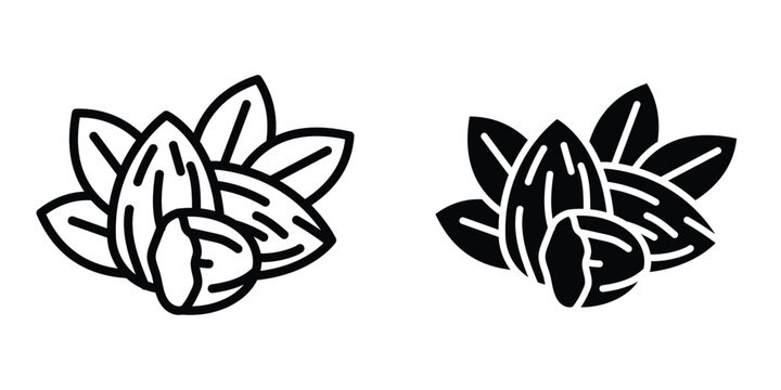 Almond icon design illustration drawings