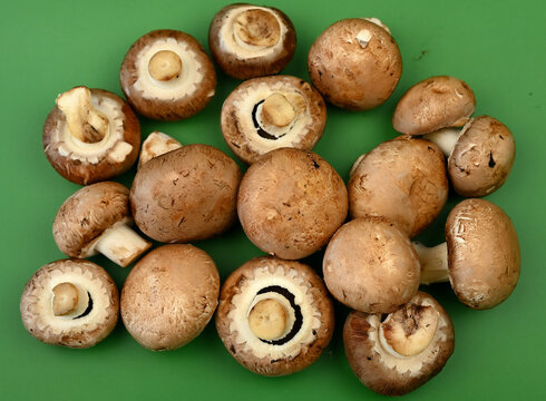 Pieczarki brązowe