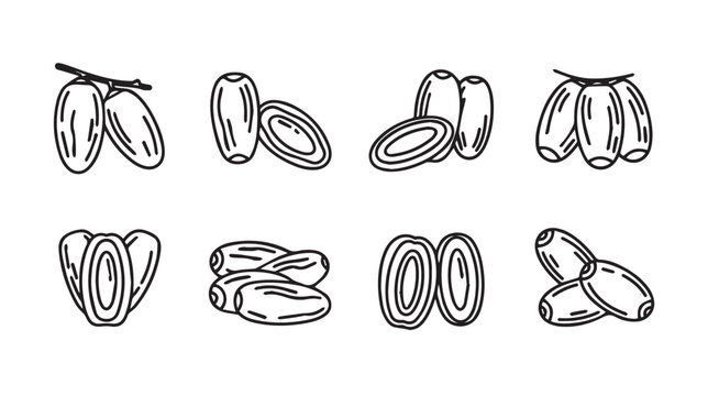 Fresh Dates Hand Drawn Line Art Collection Isolated on White Background Vector Illustration
