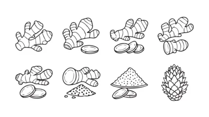Ginger root and powder collection with slices in a clean white background for culinary and health concepts © Smithstar