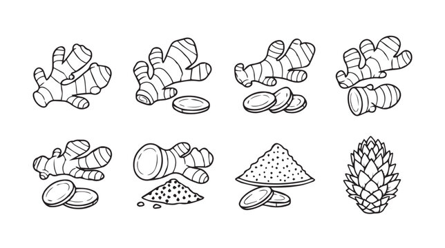 Ginger root and powder collection with slices in a clean white background for culinary and health concepts