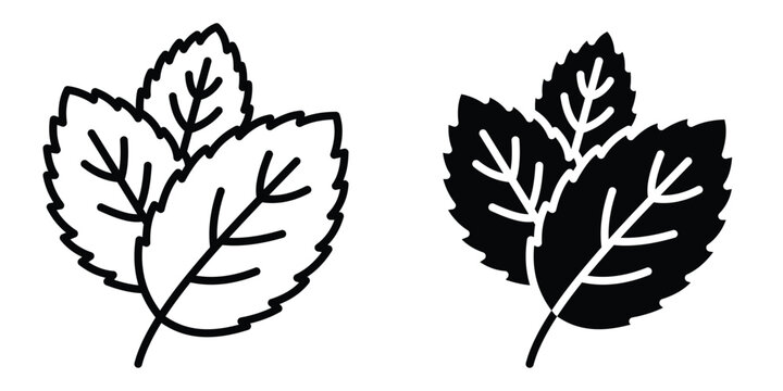 Mint icon design illustration drawings
