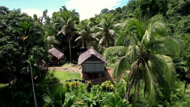 Aerial view of traditional wooden huts with thatched roofs surrounded by lush palm trees and tropical jungle greenery in Wewak, East Sepik Province, Papua New Guinea.