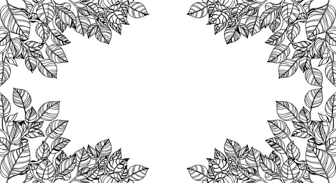 Black and white leafy border frame illustration