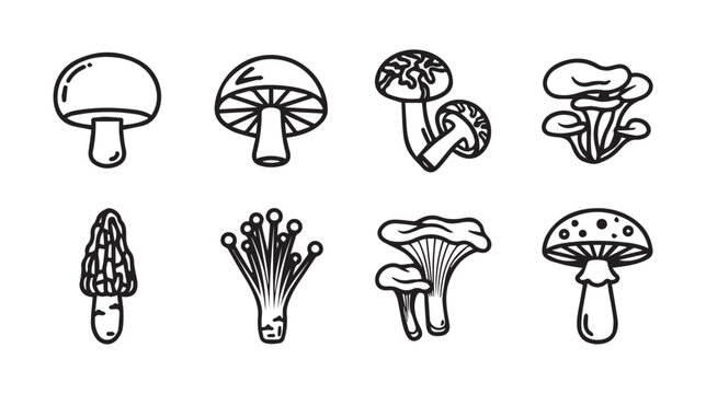 Various Hand Drawn Mushroom Icons in a Clean White Background with Outline Style