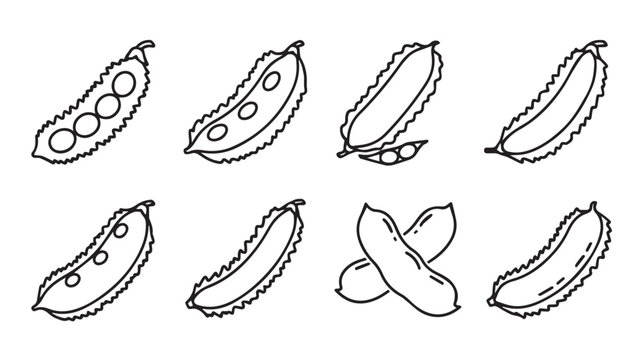 Various soybean pods in simple line art style on white background