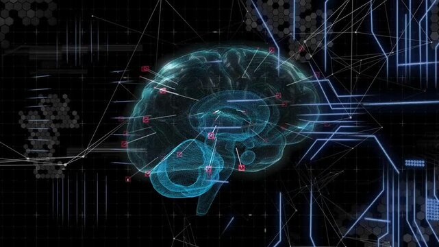 Connection pulse initiating holographic brain rotating, conduits converging and routing data flows