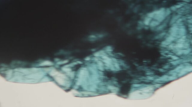 Microscopic view of texture of pith of broccoli stem, extreme close up of vegetables texture.