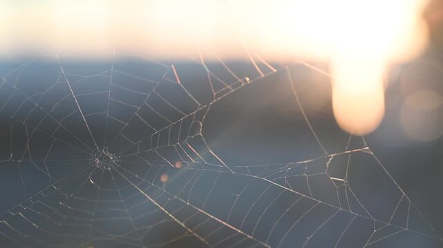 Rainbow spider silk against sky and sun, selective focus.