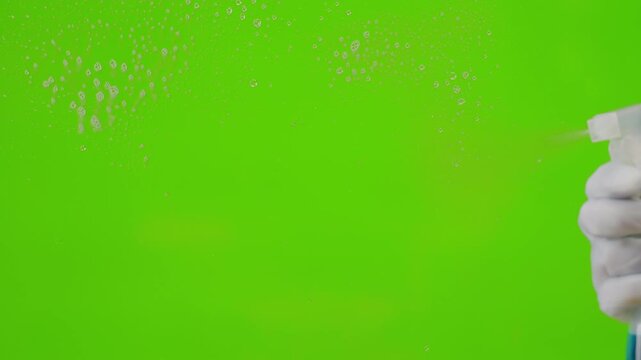 Cleaning service, Close up of woman cleaning table at home with spray. Homework, clean of ditry kitchen table with surface cleaner spray, cleaner spray, household clean chroma key green screen