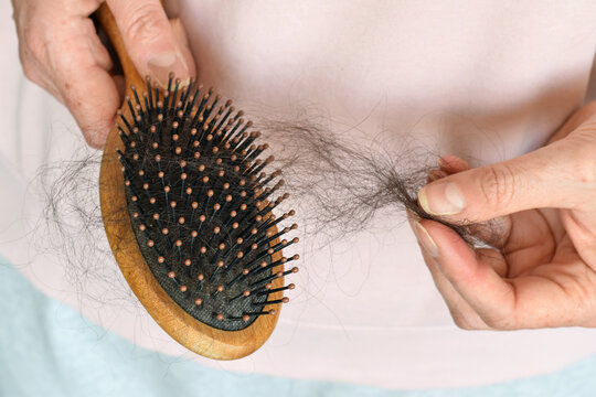 Closeup of woman hands removing tangled hair from wooden hair brush. Concept of hair loss, shedding, hygiene, grooming routine, or cleaning personal care accessories