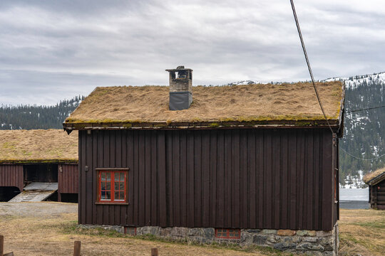 Aincent traditional Norwegian wooden house with a grass roof on the beautiful mountain landscape background. Plants and trees grow on the roof. 