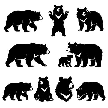 Black and white vector silhouette set of Asiatic Black Bear
