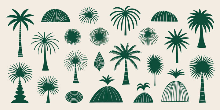 Date palm tree silhouette vector set in black and white style, nature tropical coconut trees graphic illustration