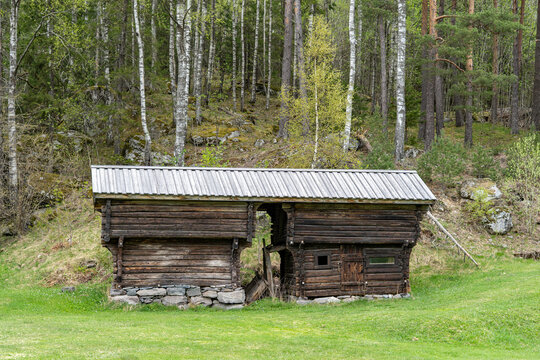 Authentic old traditional Norwegian stabbur (raised wooden storehouse) in the rural landscape of Rjukan, Telemark, Norway. Historic dark timber architecture with grass meadow, mountain forest.