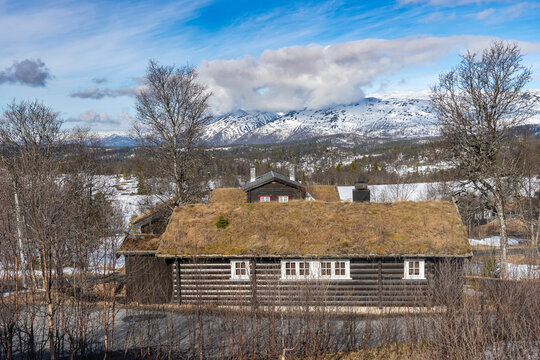 Aincent traditional Norwegian wooden house with a grass roof on the beautiful mountain landscape background. Plants and trees grow on the roof. 