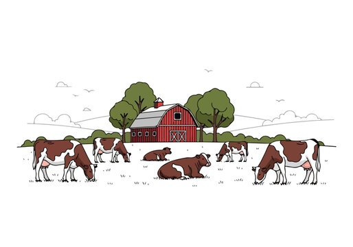 Herd of brown and white cows grazing in a snowy field with a red barn