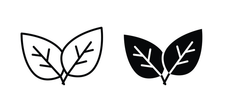 Basil icon logo line black symbols collections.