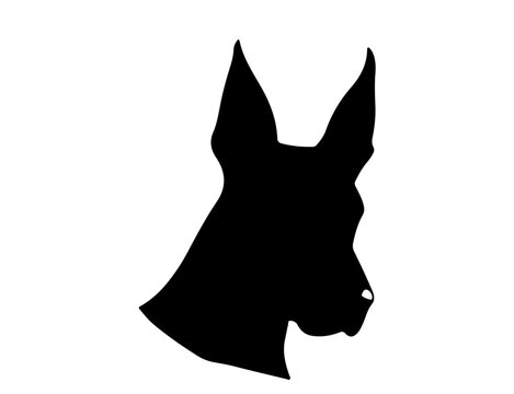 Sharp Dog Head Profile Silhouette Side View
