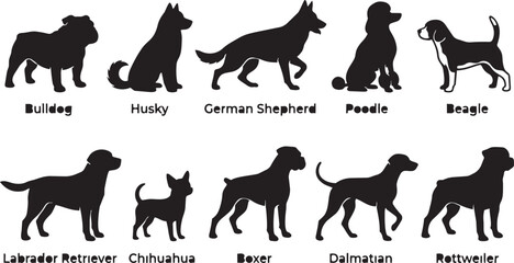 Dog breed silhouettes bundle, Bulldog Husky German Shepherd Poodle Beagle Labrador Retriever Chihuahua Boxer Dalmatian Rottweiler vector illustration design collection © MOSTSHAHANAJ