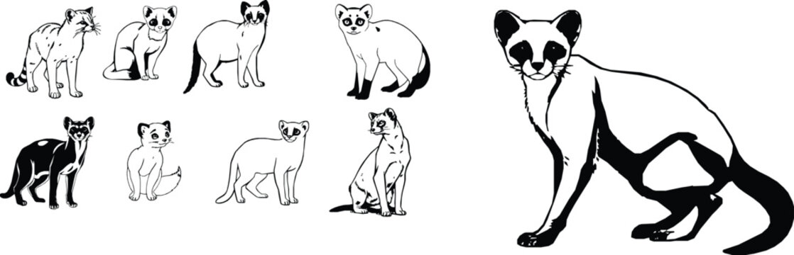 Genet Animal Outline Sleek Body Icon